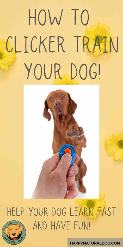 Clicker Training Your Dog