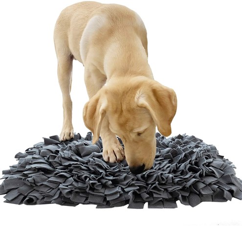 Enrichment for Dogs who Love to Shred & De-Stuff Toys: Toys, DIYS