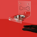 hungry dog for raw or dry food