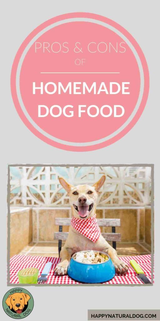 Pros & Cons of Homemade Dog Food