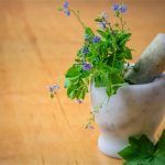 adaptogens for dogs in a mortal and pestle