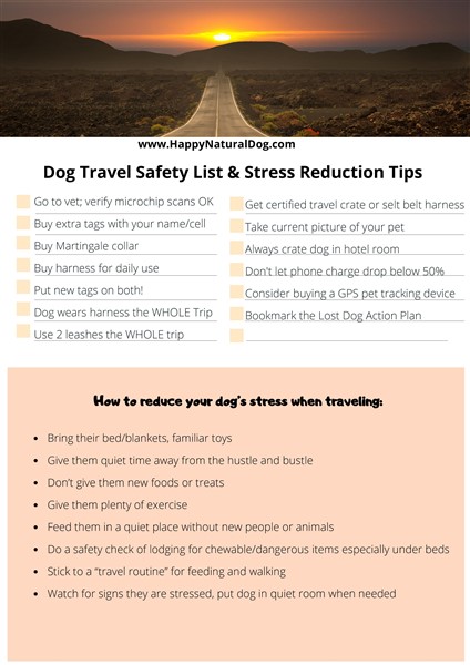 traveling with dogs safety list