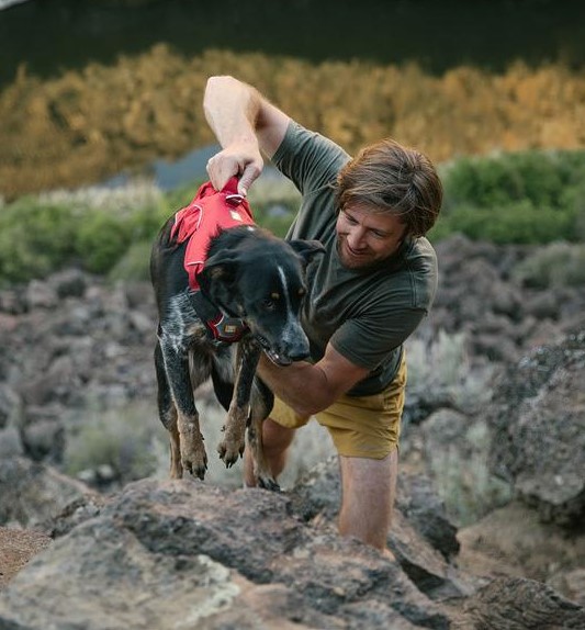 dog wearing ruffwear webmaster harness and person lifting them over a big rock