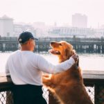 man traveling with dogs in the city