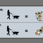 Before and after desensitization and counterconditioning graphic