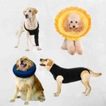 Cone of Shame Alternatives