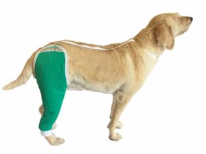 dog recovery hip and thigh sleeve dog cone alternatives