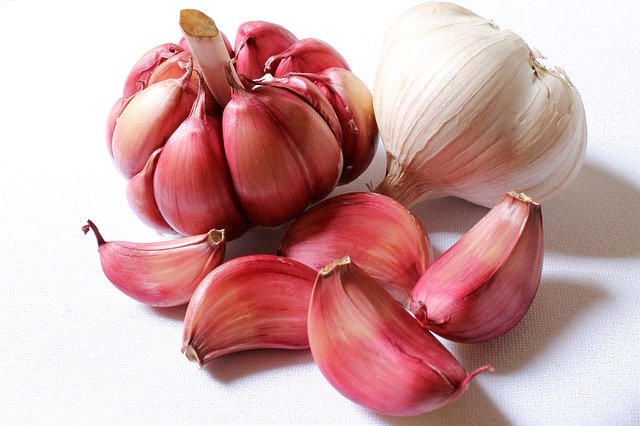 Garlic bulbs for use on giardia in dogs