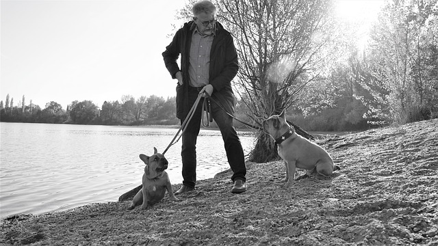 man doing countercounditioning with dog