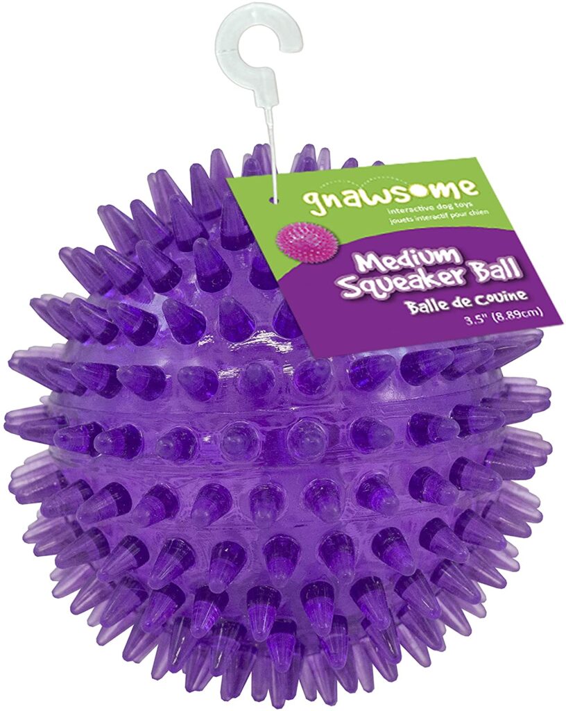 gnawsome squeaker ball dog teeth cleaning toy