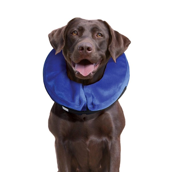 kong cloud collar cone of shame alternative