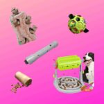Various Canine enrichment activities For Dogs Picture