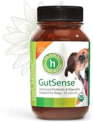 GutSense Probiotic for dog UTI treatment
