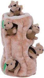 squirrel hide and seek enrichment toys for dogs