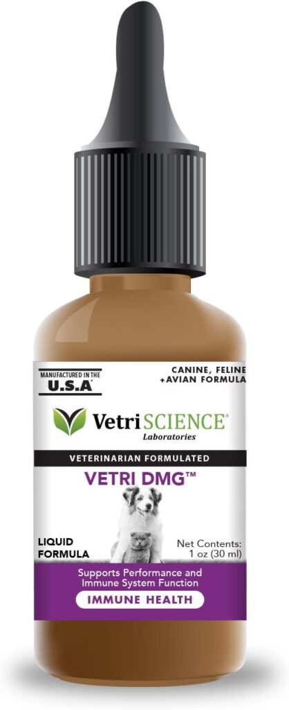 vetriscience DMG Immune system booster for dogs