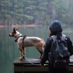 dog on dock overlooking water
