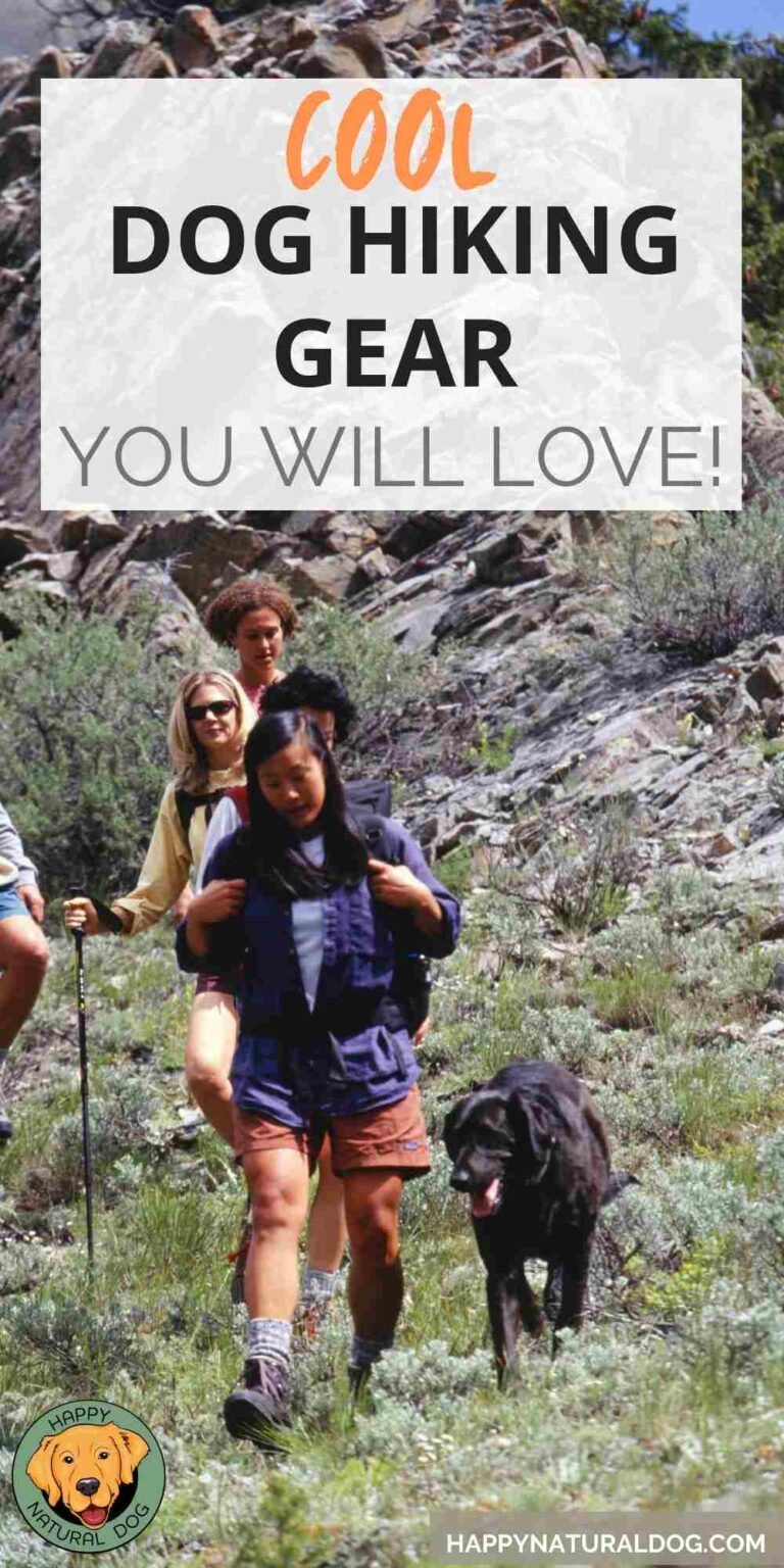 Cool Dog Hiking Gear for Adventuring with Your Dog!