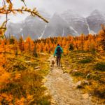 dog and man hiking in mountains by Joshua Woroniecki