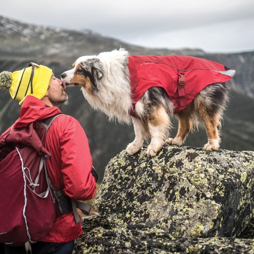 dog wearing Kurgo north country raincoat on hike