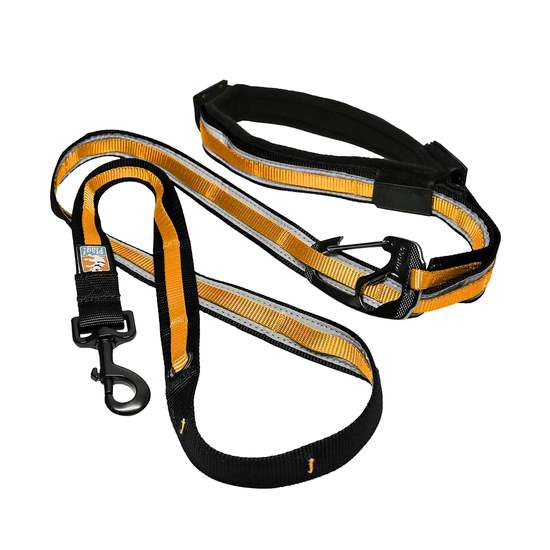Kurgo Quantum Leash