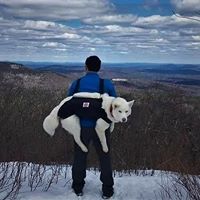 man carrying siberian husky in Pack a Paw harness on his back