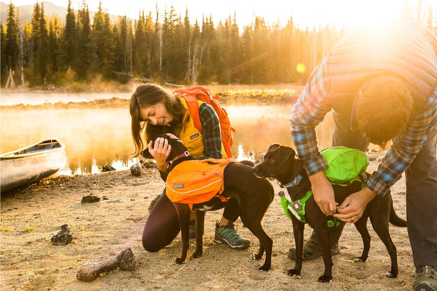 Two dogs in hiking gear packs with 2 humans by a river