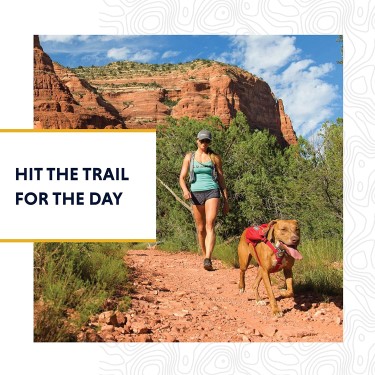 Dog hiking in a ruffwear singletrack harness