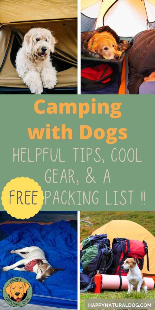 Camping With Dogs pin