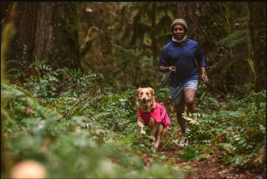 Dog running in Ruffwear Sun Shower Dog Raincoat