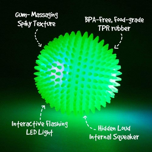 Gnawsome squeak and light ball