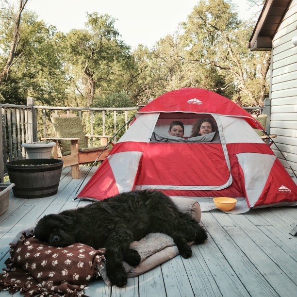 kids and dog camping on deck by Lori