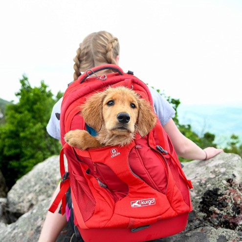 kurgo dog backpack