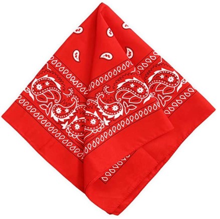 red bandana for emergency dog muzzle