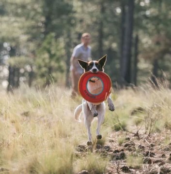 ruffwear hydro plane floating disc chasing