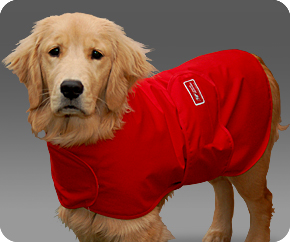 Storm Defender Cape on Dog scared of thunderstorms