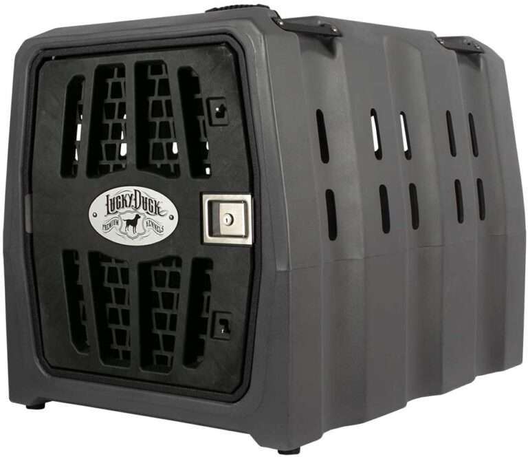 Crash Tested Dog Seat Belts and Crates for Travel in 2022