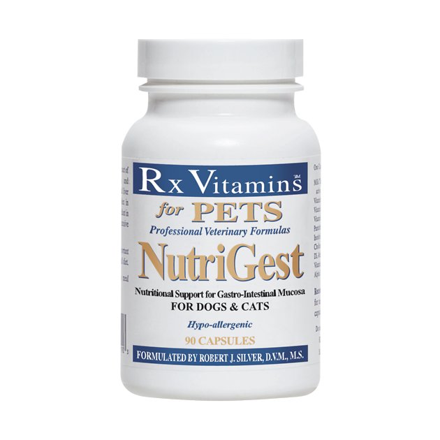 bottle of Nutrigest dog diarrhea home remedy