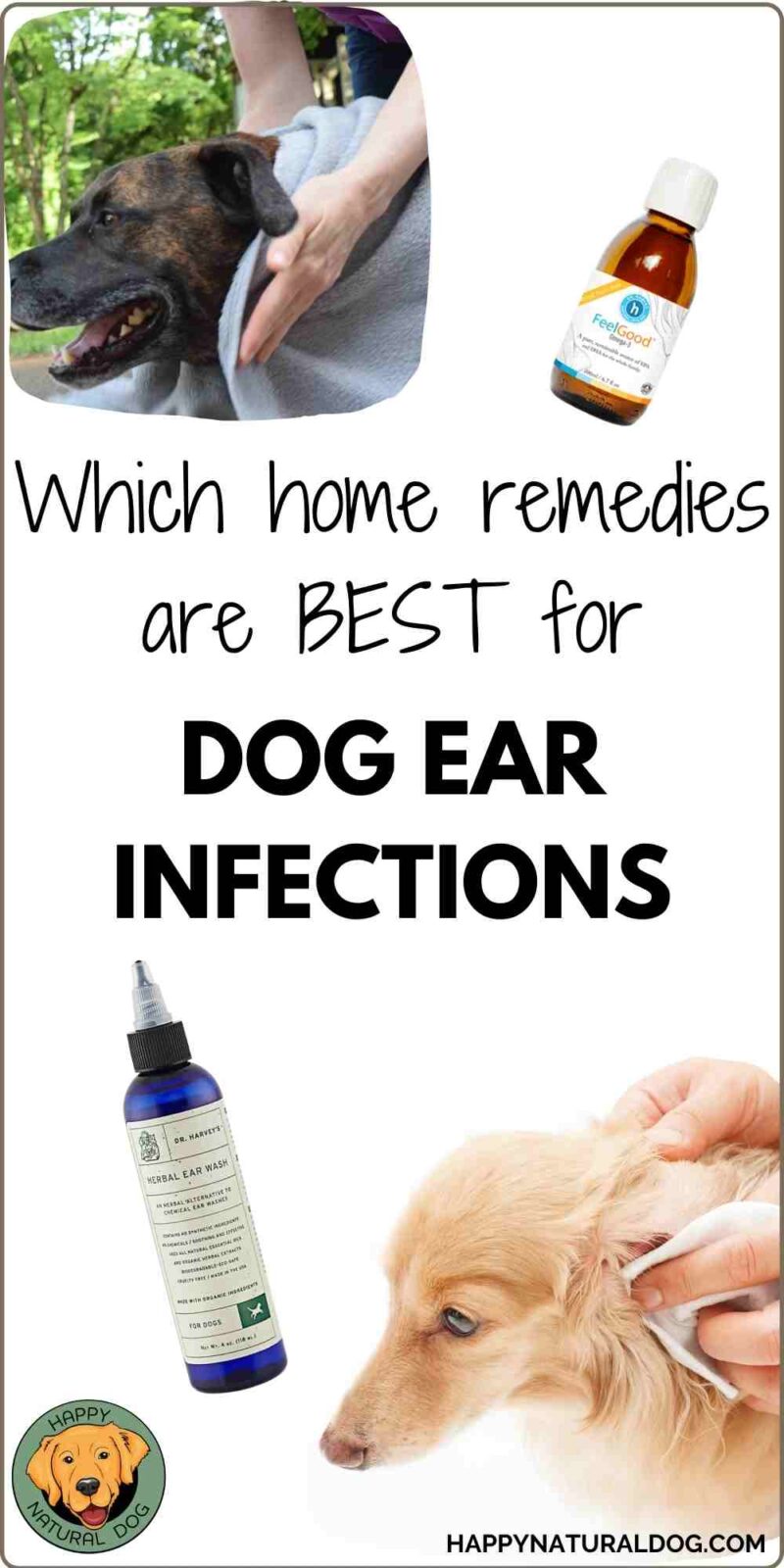 Home Remedies for Dog Ear Infections - Natural Treatment For Dog Ear Infections