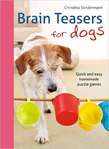 Brain Teasers for Dogs Homemade Puzzle Games for Dogs Book