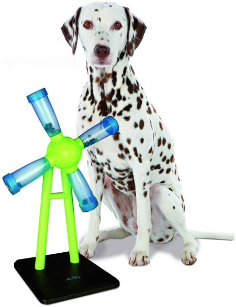 DIY Dog Enrichment Toys: Sparking Joy and Mental Stimulation - COAPE