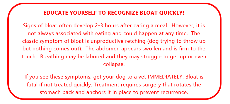 symptoms of bloat in dogs