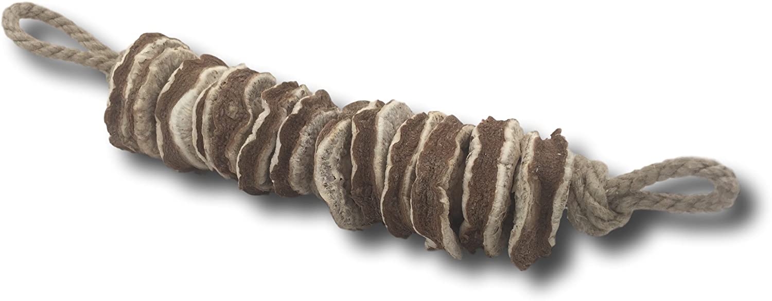 The Best Gifts for Dogs