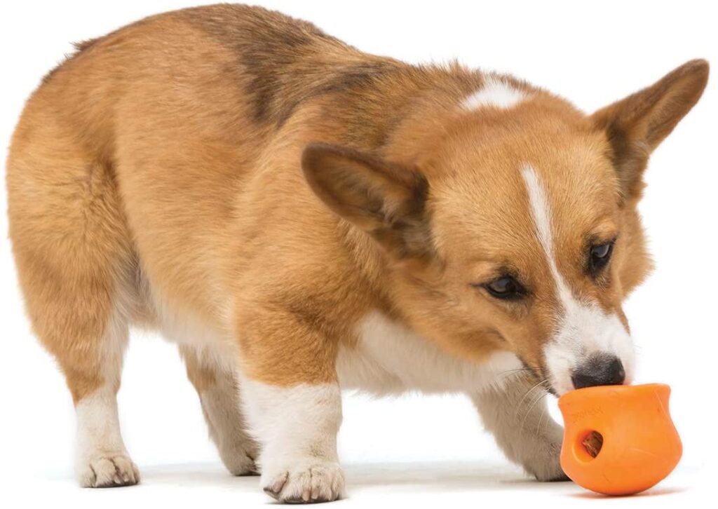 West Toy Topple one piece raw food puzzle toy for dogs