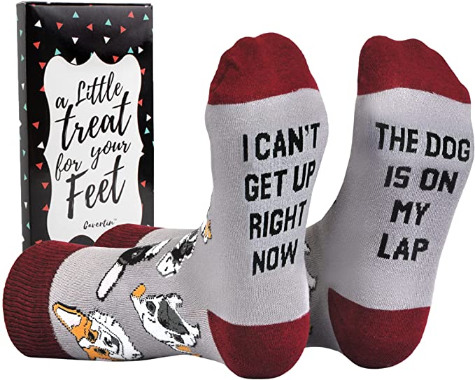 cute dog socks gift for dog lovers