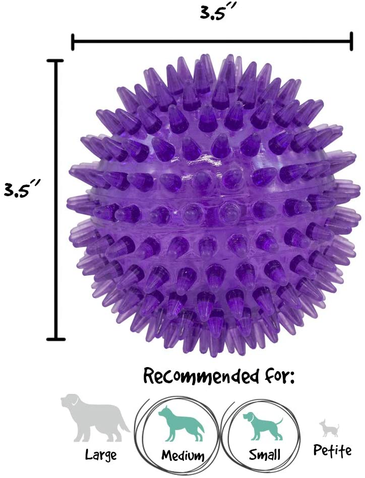 Gnawsome medium squeaky chew toy for puppies