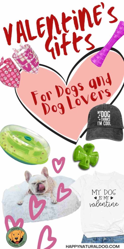 Valentine's Day Gift Guide for Dogs & Dog Lovers