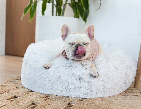 jax and bones donut dog bed