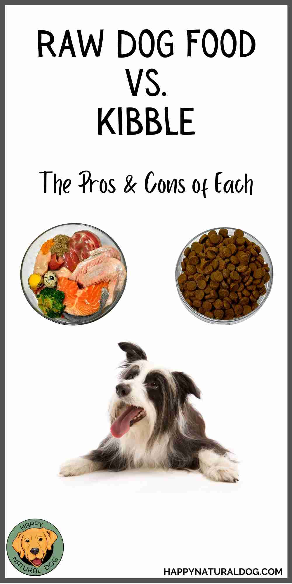 The Raw Food Diet For Dogs Better Than Dry Food?