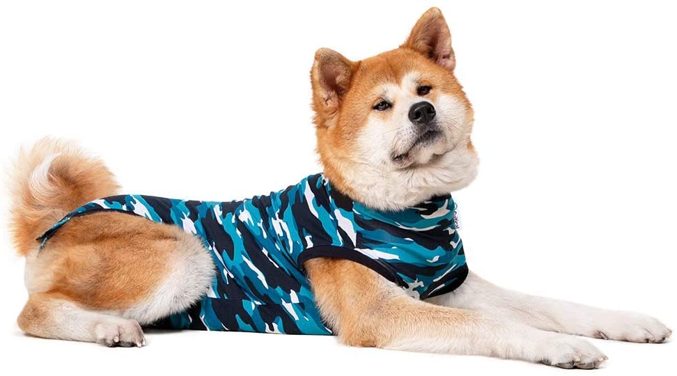 suitical recovery suit in blue alternative to the cone of shame