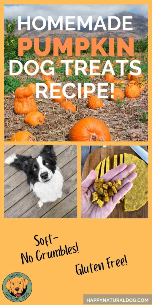 Easy Homemade Pumpkin Dog Treats Recipe